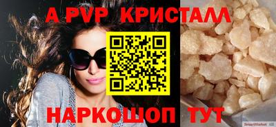 СК Моздок