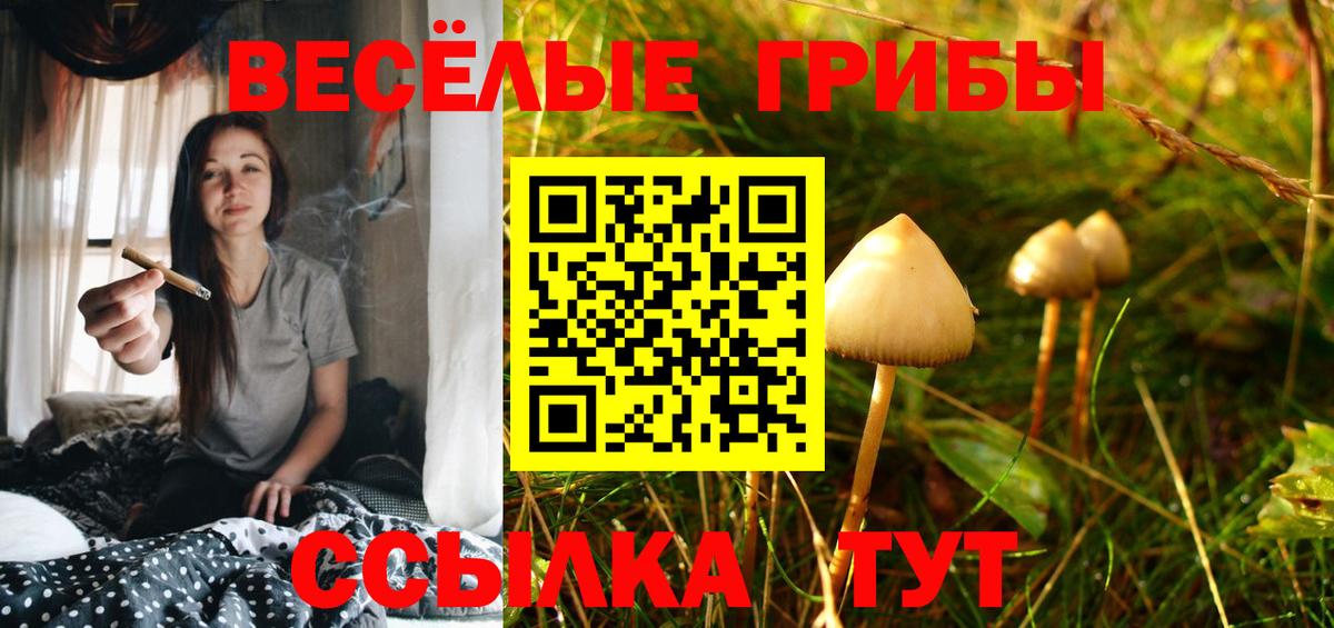 Псилоцибиновые грибы Psilocybe  Псилоцибиновые грибы мухоморы  Вход с VPN  Верхняя Салда 